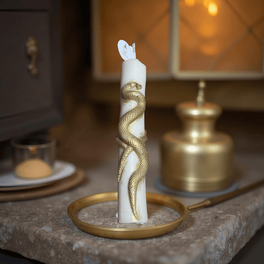 Snake candle(Caramel pumpkin swirl) - Chatté Candles