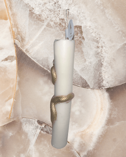 Snake candle(Caramel pumpkin swirl) - Chatté Candles