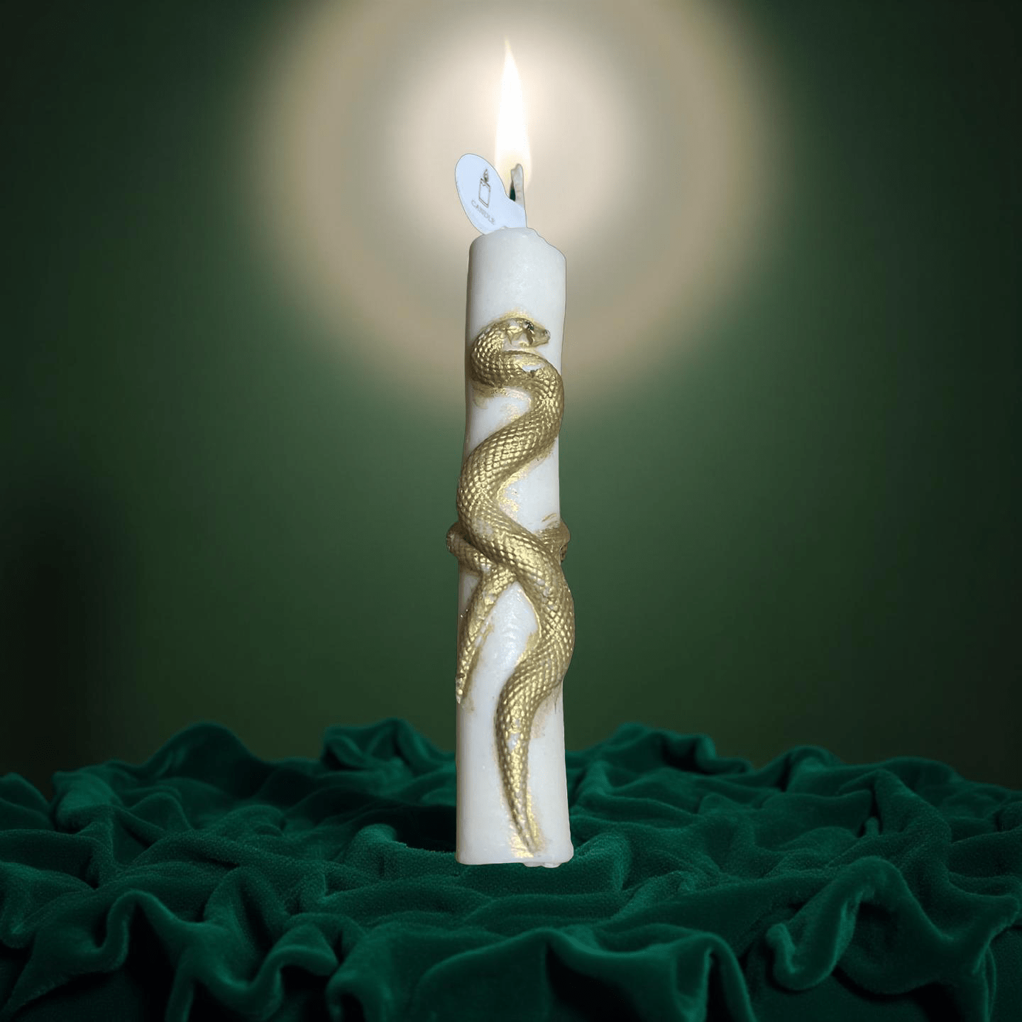 Snake candle(Caramel pumpkin swirl) - Chatté Candles