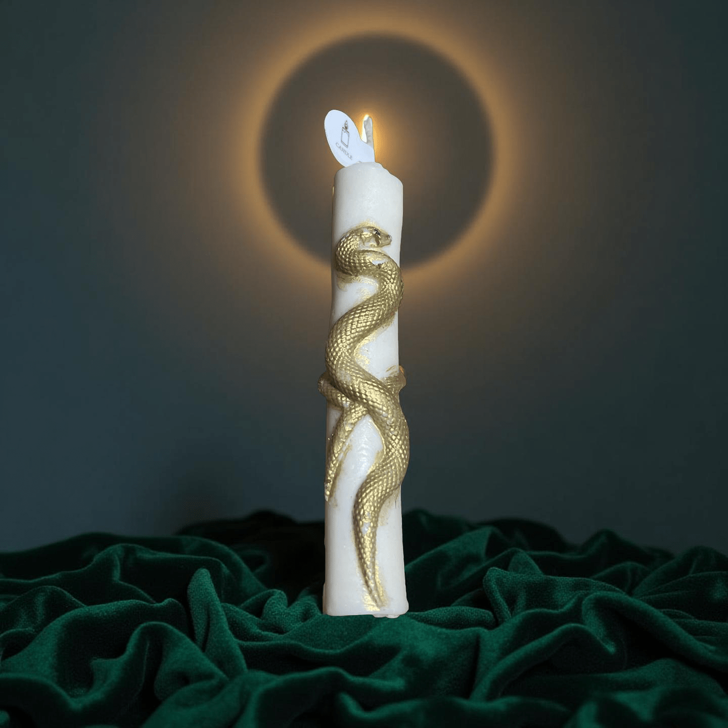 Snake candle(Caramel pumpkin swirl) - Chatté Candles