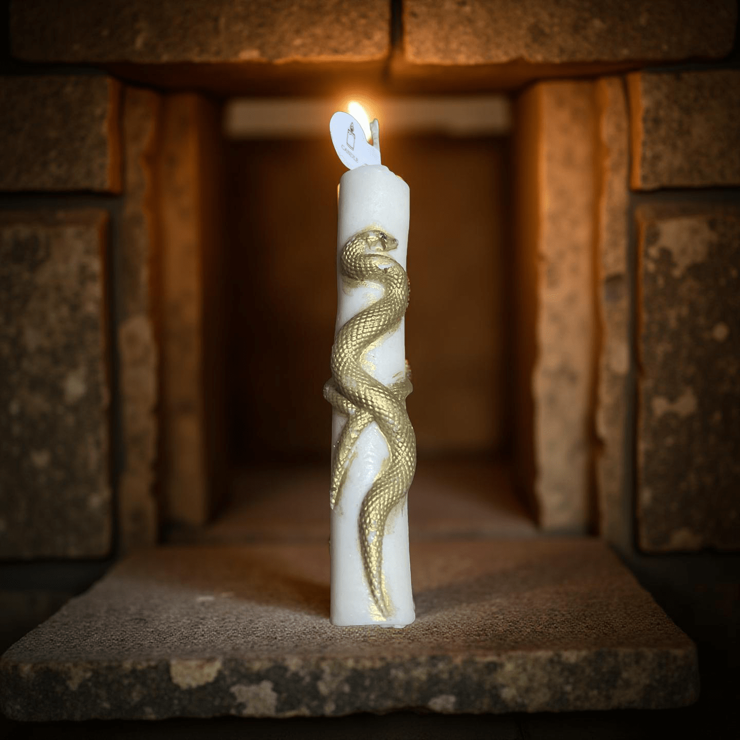 Snake candle(Caramel pumpkin swirl) - Chatté Candles