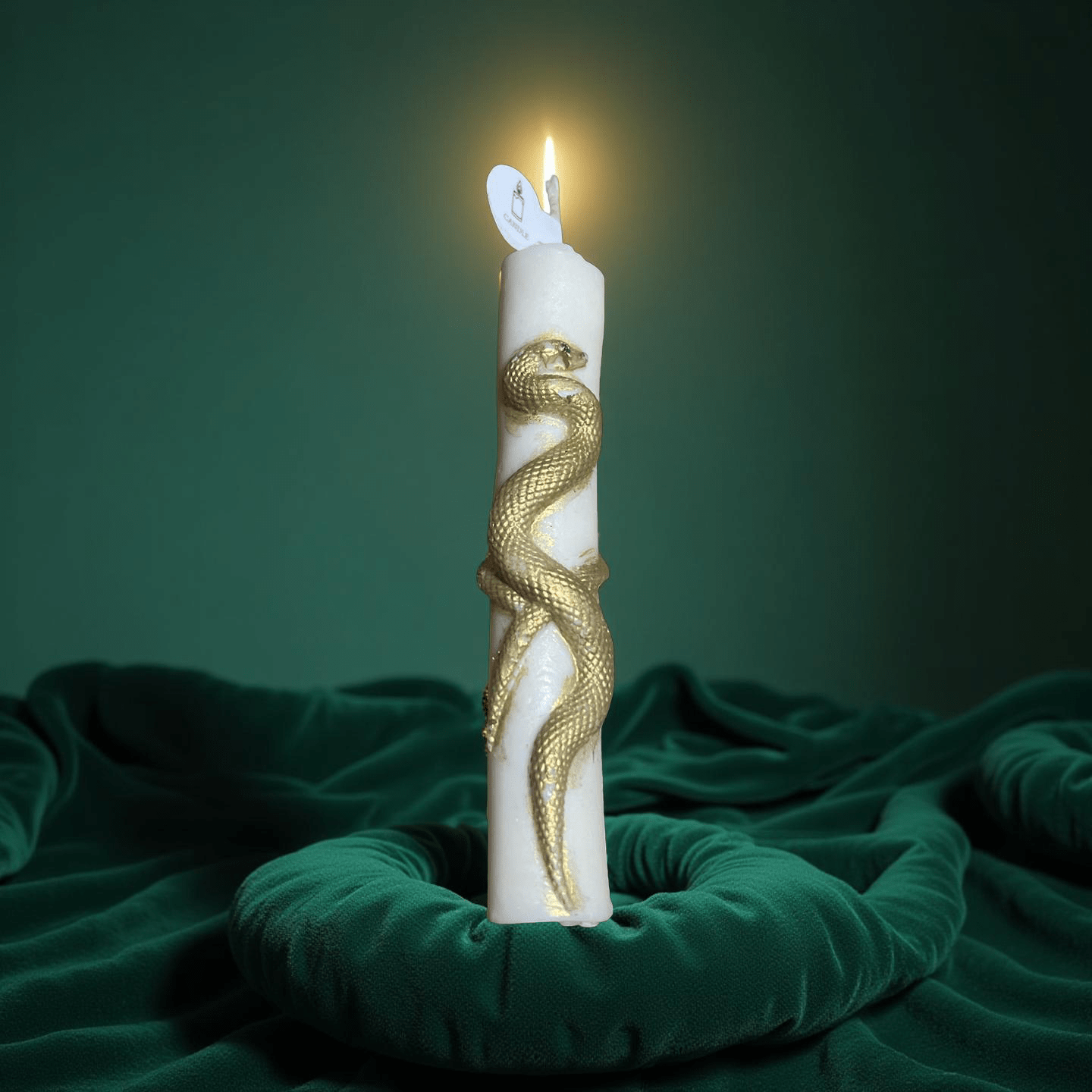 Snake candle(Caramel pumpkin swirl) - Chatté Candles