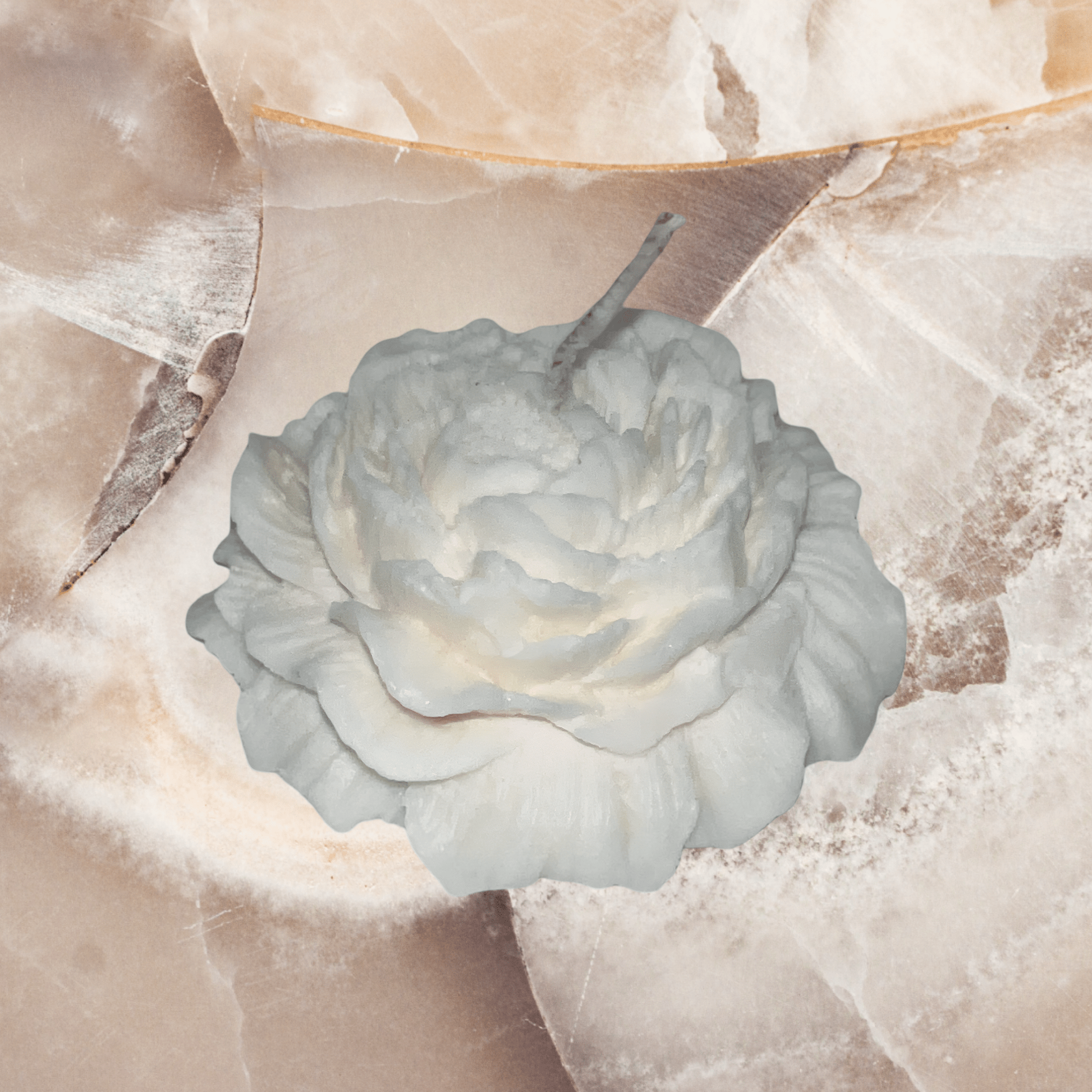 White Rose Candle (middle ) - Chatté Candles