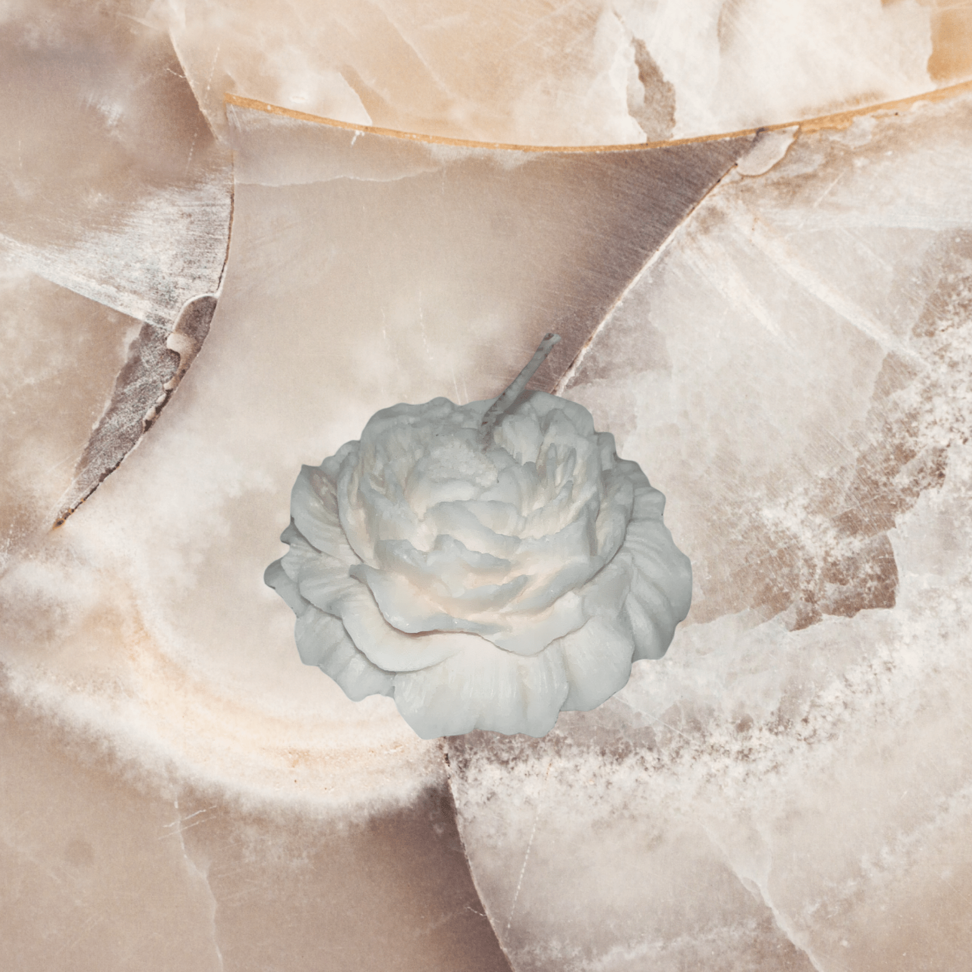 White Rose Candle (middle ) - Chatté Candles
